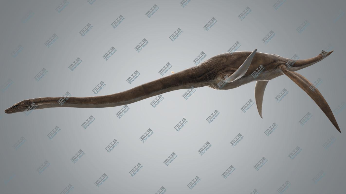 images/goods_img/202104021/3D Plesiosaur Rigged/5.jpg